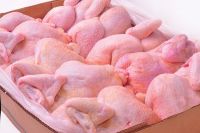 high quality Halal whole frozen chicken and part for sale