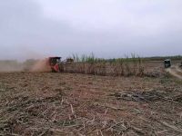 China combine sugar cane harvester for India sugarcane filed harvest