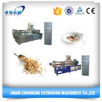 China manufacture excellent quality shandong corn flakes machinery price