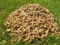 wood pellets EN+ A1