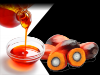 Palm Oil