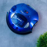 Robot cleaner