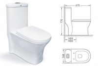 Customized toilet