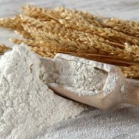 Wheat Flour