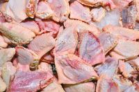 Halal Whole Frozen Chicken,Chicken Feet,Paws ,Drumsticks Grade