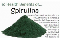 Spirulina Powder