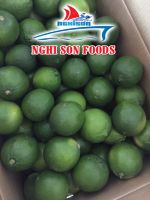 FRESH LIME FROM VIETNAM