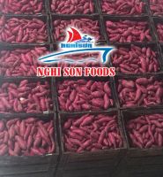 VIETNAMESE SWEET POTATO WHATSAPP +84986365621