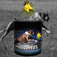 ProDog Maximus - Lean Muscle Builder