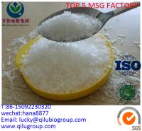Chinese best quality 99% monosodium glutamate MSG 