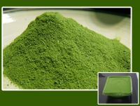 Moringa Bulk Leaf Leaves Powder Extract