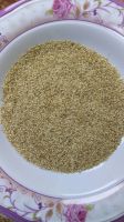 SESAME SEEDS