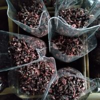 Wholesale Supply of DRIED HIBISCUS FLOWERS