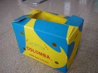 Plastic(PP) corrugated packing box