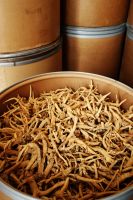 Wild Grown American Ginseng