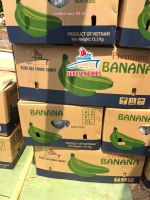 Fresh Cavendish Banana Supplier in Viet Nam