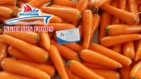 Fresh Orange Carrot from Viet Nam with High Quality-Wholesale Price.