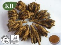 Coptis chinensis extract