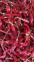 Trade Chance To Export and Import 334 Chili with Stem From India