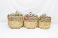 Vietnam handicraft Water Hyacinth Basket for Home Furniture-SD20249A-3NA