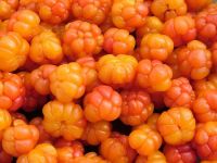 Frozen wild cloudberries