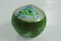 Whole Fresh Coconut