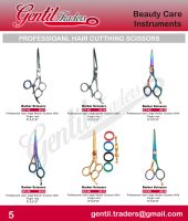 Beauty Care Instruments And Personal Care Instruments.