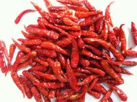 Trade chance to export and import TEJA S17 chili from India