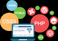 Web Development: - Rs. 5000 for 5        7 Page WordPress Development