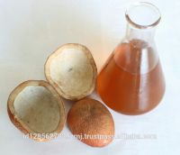 High Quality Crude coconut Oil