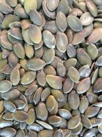 GWS pumpkin seed kernels