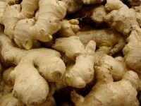 DRY GINGER