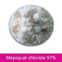 plant growth regulator Mepiquat chloride 97%TC