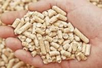 Wood Pellets