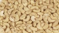 Raw Cashew Nuts cashew fruit unsalted cashews