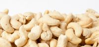 Raw Cashew Nuts cashew fruit