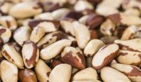 raw brazil nuts organic brazil nuts