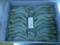 Frozen Black Tiger Shrimps