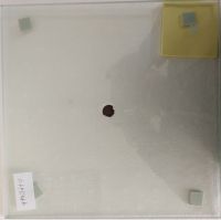 4mm+0.76pvb+4mm laminated glass