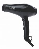 Professional hair dryer