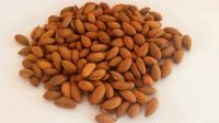 High quality almond kernel