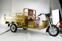 Electric tricycles
