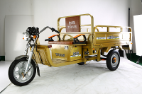 Electric tricycles