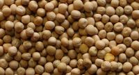 Whole Yellow Peas