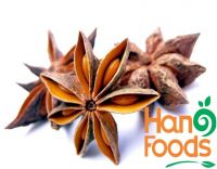 Dried Star Anise Flower