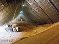 animal feed soybean meal