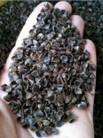 buckwheat hulls/Husks/Shells wholesale