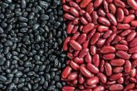 Kidney beans