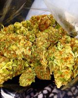 Fresh potent Ganja variety of strains available