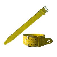 Power Lifting Belt